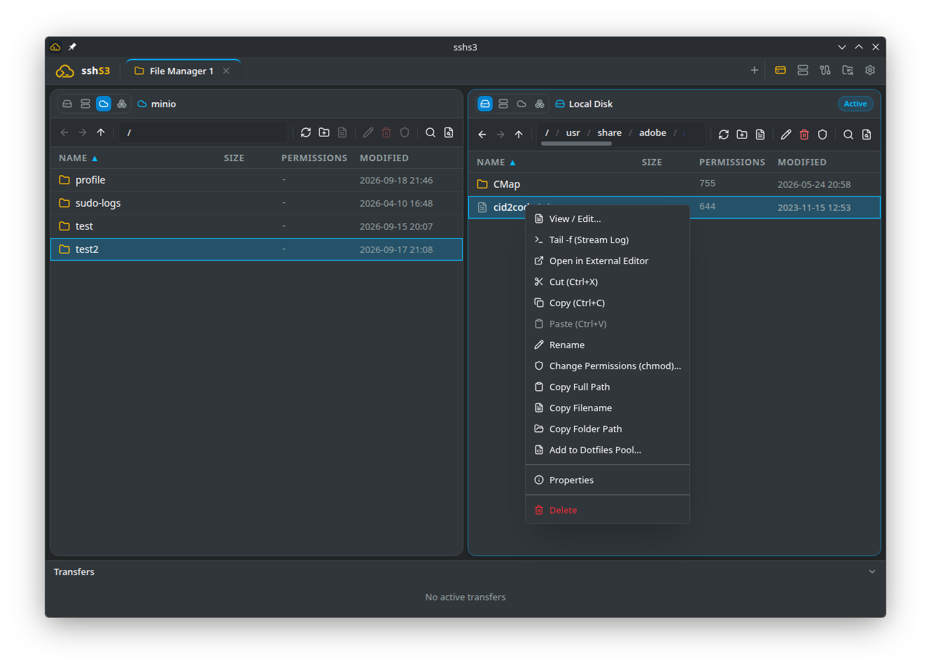 File Conflict Options