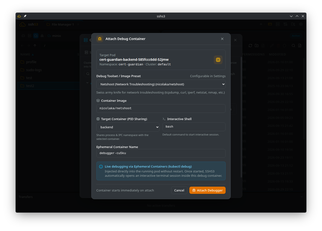 Ephemeral Pod Debugging
