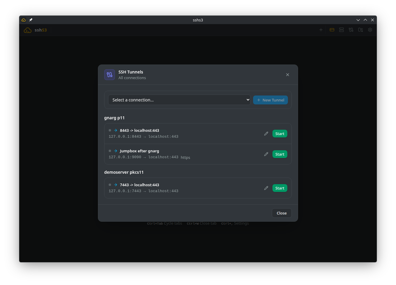 SSH Tunnels Panel
